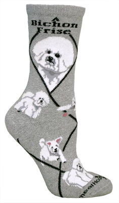 Bichon Frise gray PH949