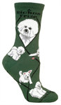 Bichon Frise hunter PH948