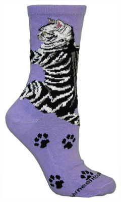Cat Hug on light purple PH960