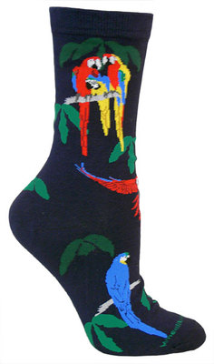 Parrot, Macaw on navy LW482