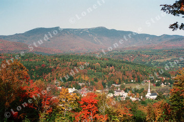 Marc Sherman Photograph Stowe Foliage