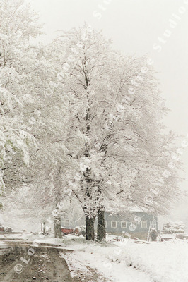 Marc Sherman Photograph The Cross Farm