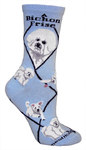 Bichon Frise lt blue PH939
