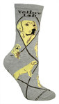 Lab, Yellow gray PH934