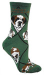 Saint Bernard hunter PH941