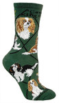 Cavalier King Charles hunter PH946