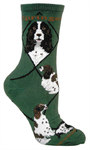 English Springer Spaniel hunter PH943