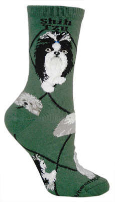 Shih Tzu hunter PH944