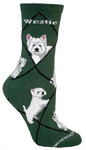 Westie on hunter PH961