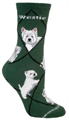 Westie on hunter PH961