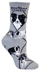 Border Collie Gray PH570