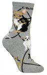 Chihuahua Gray PH286