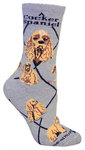 Cocker Spaniel on gray PH890