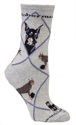 Doberman on gray PH590