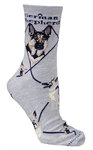 German Shepherd Gray PH484