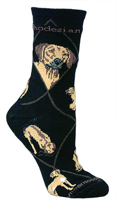 Rhodesian Ridgeback PH591