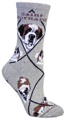 Saint Bernard on gray PH437