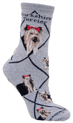 Yorkshire Terrier gray  PH521