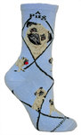 Pug, Fawn on light blue PH938