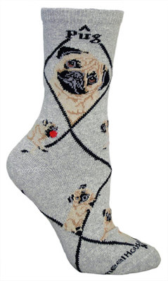 Pug, Fawn on gray PH937