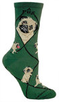 Pug, Fawn on hunter PH936