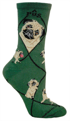 Pug, Fawn on hunter PH936