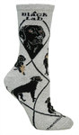 Lab, Black on gray PH932