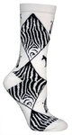 Zebra on white LW518
