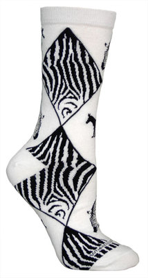 Zebra on white LW518