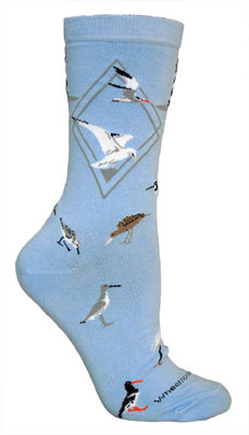Seabirds on light blue LW495