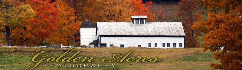 Country Farm - Golden Acres Photography