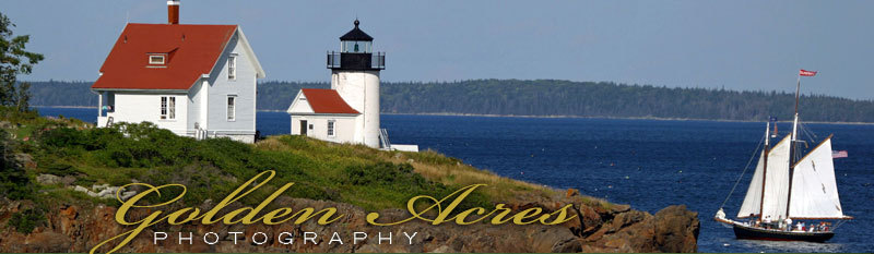Lighthouse and sailboat - Golden Acres Photography