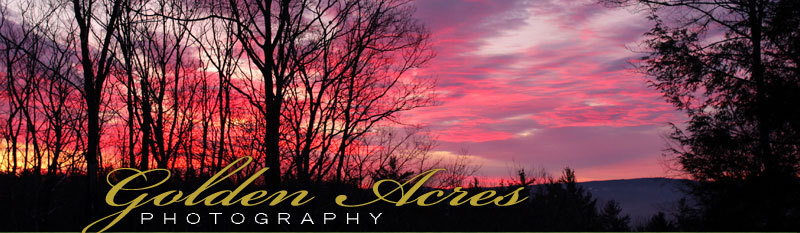Purple and pink fall sunset - Golden Acres Photography