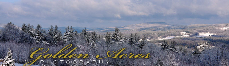 Snowy pines and white mountain landscape - Golden Acres Photography