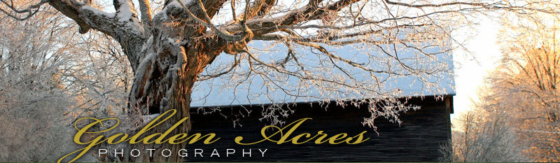 Classic country home in winter - Golden Acres Photography