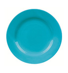 Waechtersbach Dinner Plate