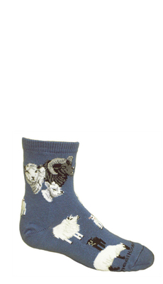 Sheep All Over blue PH628S Child