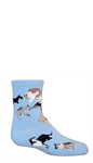 Dogs All Over on light blue PH804s