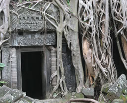 Angkor Wat Tours