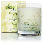 The Thymes Eucalyptus Poured Candle