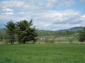 Lot 1