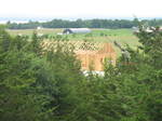 Cabin #2 Goes Up!