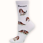 Basset Poses 2