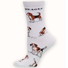 Beagle Poses 2