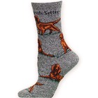Irish Setter Poses 2