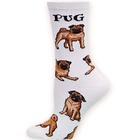 Pug Poses 2