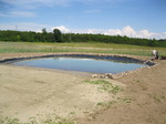 We Have a Pond!