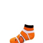 Real Clown Fish Kids