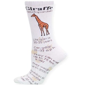 Giraffee Facts