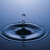 Water Quality Workshop